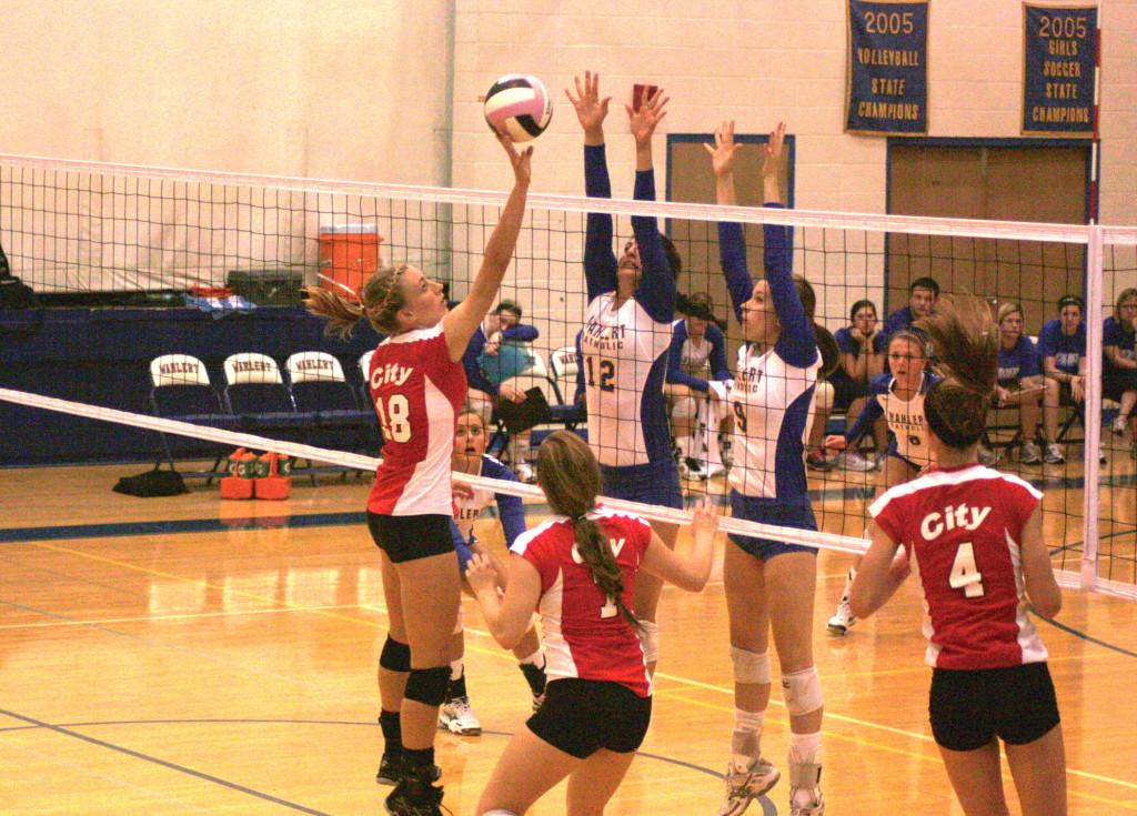 Michaela Nelson 14 tips the ball during the second set on Tuesday.