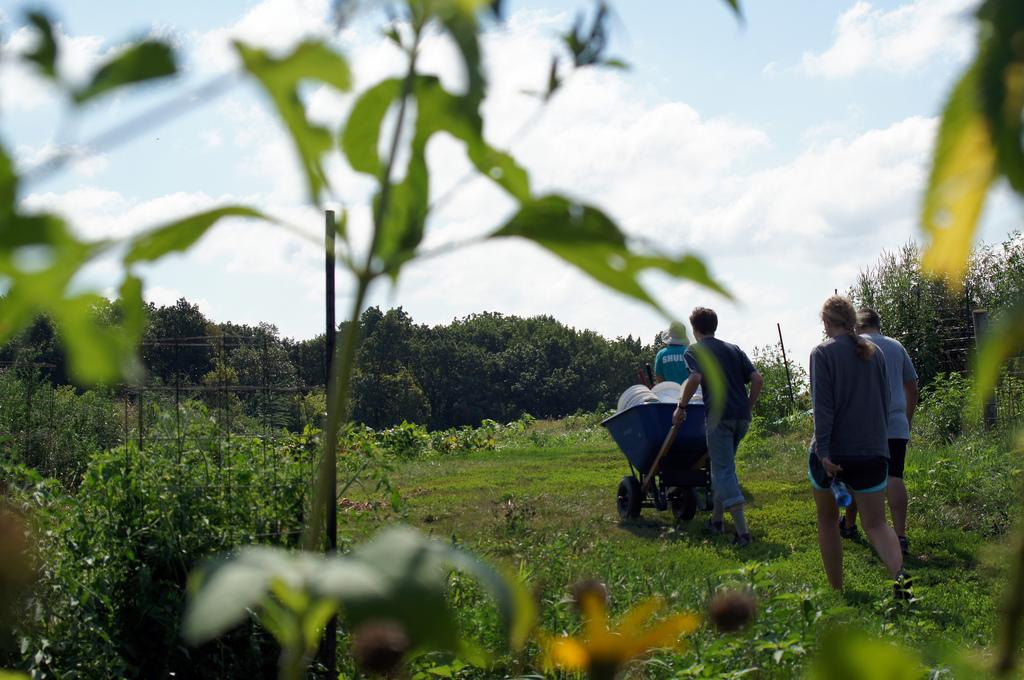 Iowa City Summer of Solutions members head out to the fields, volunteering on a farm in Solon. Photo by Eli Shepherd