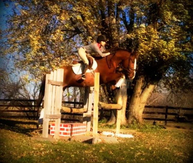 Ruby and her horse, Ro, train jumping over hurdles.