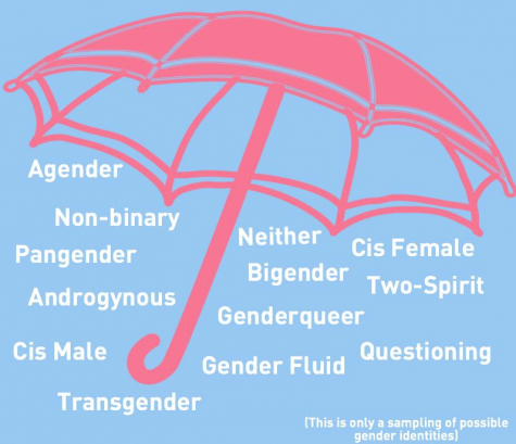 There are hundreds of possible gender identities. Gender identity is a person's perception of oneself as male or female, both, or neither. This is manifested in how someone presents themselves to society.