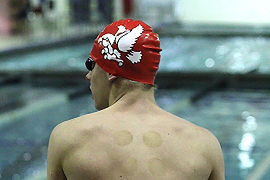 State in Sight for Swimmers