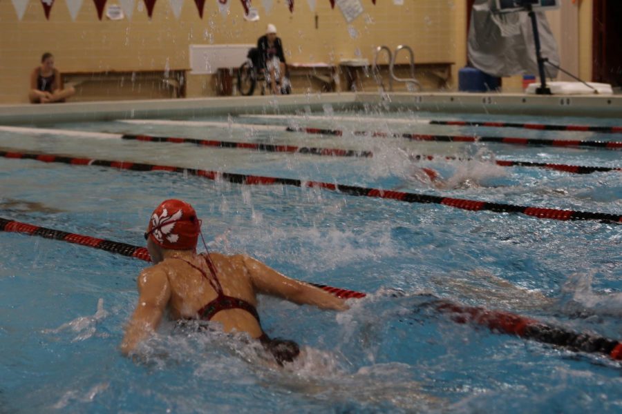 Carly Weigel 20 swims the butterfly at the Little Hawks dual against Williamsburg.