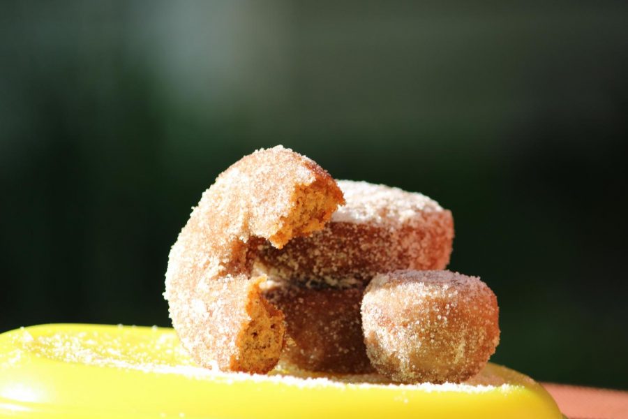 A photo of the apple cider donuts, made by Jesse Hausknecht-Brown