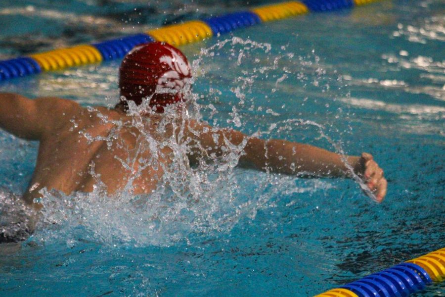 A swimmer does the butterfly stroke while in his race.