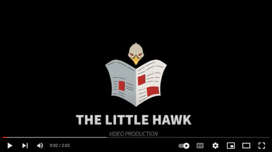 Young+Little+Hawk+Basketball+Players+Provide+Highlights