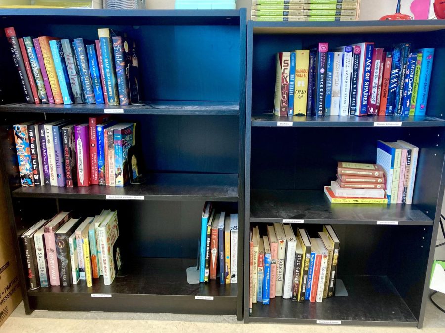 Empty spaces haunt the bookshelves in my English classroom.